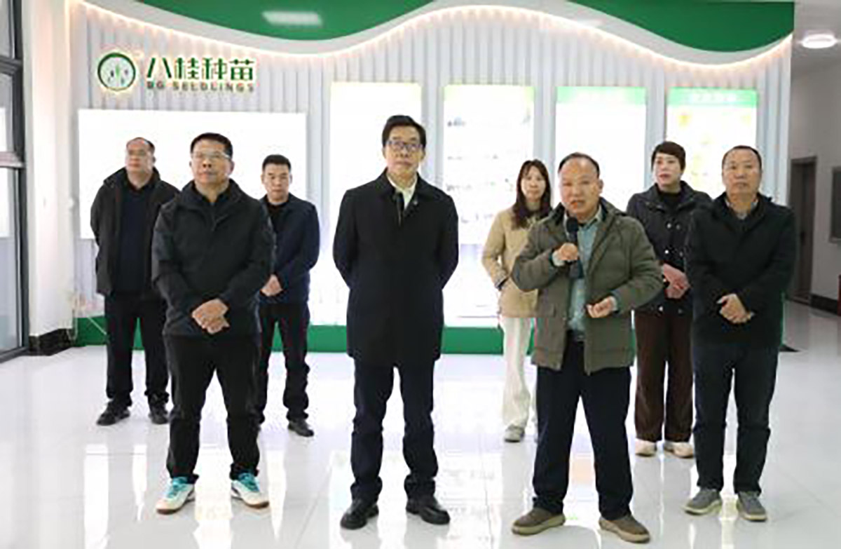 蔣桂雄到八桂種苗集團調研